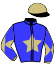 casaque portée par Peslier O. jockey du cheval de course TINETTE, information pmu ZETURF