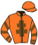 casaque portée par Demuro C. jockey du cheval de course ROYAL SAXO, information pmu ZETURF