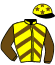 casaque portée par Le Graet Thé. jockey du cheval de course SALALAH, information pmu ZETURF