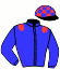 casaque portée par Guyon M. jockey du cheval de course ST JAMES PARK, information pmu ZETURF