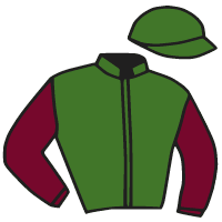 casaque portée par Lebouc Hug. jockey du cheval de course ETEL DU NINIAN, information pmu ZETURF casaque portée par Lebouc Hug. jockey du cheval de course ETEL DU NINIAN, information pmu ZETURF