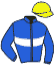 casaque portée par Moutard Jer. jockey du cheval de course OUTRENOIR, information pmu ZETURF casaque portée par Moutard Jer. jockey du cheval de course OUTRENOIR, information pmu ZETURF
