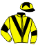 casaque portée par Claudic J. jockey du cheval de course ALBANIA, information pmu ZETURF casaque portée par Claudic J. jockey du cheval de course ALBANIA, information pmu ZETURF