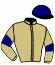 casaque portée par Doyle Mme Hol. jockey du cheval de course OUTBOX, information pmu ZETURF casaque portée par Doyle Mme Hol. jockey du cheval de course OUTBOX, information pmu ZETURF