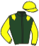 casaque portée par Demuro C. jockey du cheval de course VIBRATO, information pmu ZETURF