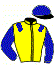 casaque portée par Hondier Jad jockey du cheval de course HAVOC, information pmu ZETURF