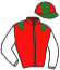 casaque portée par Forest M. jockey du cheval de course ALGHEED, information pmu ZETURF casaque portée par Forest M. jockey du cheval de course ALGHEED, information pmu ZETURF