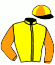casaque portée par Valle Skar Mlle F. jockey du cheval de course LEOPARDUCCIO, information pmu ZETURF casaque portée par Valle Skar Mlle F. jockey du cheval de course LEOPARDUCCIO, information pmu ZETURF
