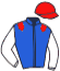 casaque portée par Lecoeuvre C. jockey du cheval de course HATFAVILLE, information pmu ZETURF casaque portée par Lecoeuvre C. jockey du cheval de course HATFAVILLE, information pmu ZETURF