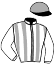 casaque portée par Pasquier S. jockey du cheval de course BALTIC EMPRESS, information pmu ZETURF