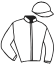 casaque portée par Ryan R. jockey du cheval de course FOREST FAIRY, information pmu ZETURF