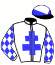 casaque portée par Guyon M. jockey du cheval de course DOLLERINA, information pmu ZETURF casaque portée par Guyon M. jockey du cheval de course DOLLERINA, information pmu ZETURF