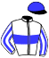 casaque portée par Buttier Mlle C. jockey du cheval de course CEMOIS DU LONDEL (FR), information pmu ZETURF