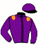 casaque portée par Lavigne Y. jockey du cheval de course INSOLENCE DU LUDE (FR), information pmu ZETURF