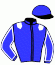 casaque portée par Callier P. jockey du cheval de course FERRY DE BELLOUET (FR), information pmu ZETURF