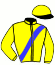 casaque portée par Desmigneux F. jockey du cheval de course IDEM MERITE (FR), information pmu ZETURF