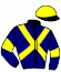 casaque portée par Tintillier A. jockey du cheval de course IKARUS FLIGNY (FR), information pmu ZETURF