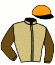 casaque portée par Monier M. jockey du cheval de course GAUDI TIT, information pmu ZETURF