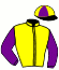 casaque portée par Gauvin F. jockey du cheval de course INCITUS, information pmu ZETURF