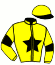 casaque portée par Busset Mme S. jockey du cheval de course KAEDI DJOC, information pmu ZETURF