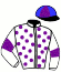 casaque portée par Verriere L. jockey du cheval de course IXION DE VANDEL, information pmu ZETURF casaque portée par Verriere L. jockey du cheval de course IXION DE VANDEL, information pmu ZETURF
