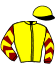 casaque portée par Lotout A. jockey du cheval de course HOLD UP BAIE, information pmu ZETURF