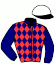 casaque portée par Barzalona A. jockey du cheval de course ELBASANI (US), information pmu ZETURF