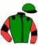 casaque portée par Brun M. jockey du cheval de course LUCKY RENARD, information pmu ZETURF