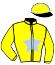 casaque portée par Donio G. jockey du cheval de course KECILPOSTE, information pmu ZETURF casaque portée par Donio G. jockey du cheval de course KECILPOSTE, information pmu ZETURF