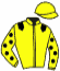 casaque portée par Barille Y. jockey du cheval de course SANS REGRETS HEM, information pmu ZETURF casaque portée par Barille Y. jockey du cheval de course SANS REGRETS HEM, information pmu ZETURF