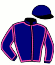 casaque portée par Le Cerf J. M. jockey du cheval de course KAPTAIN FAFA, information pmu ZETURF