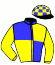 casaque portée par Maillard A. G. jockey du cheval de course INDIANA D'OYSE, information pmu ZETURF