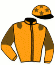 casaque portée par Mottier M. jockey du cheval de course FELINE DE JANVILLE, information pmu ZETURF