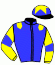 casaque portée par Boisseau L. jockey du cheval de course RUE JONAS, information pmu ZETURF casaque portée par Boisseau L. jockey du cheval de course RUE JONAS, information pmu ZETURF