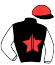 casaque portée par Seguy V. jockey du cheval de course HURLY CANE (FR), information pmu ZETURF