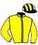 casaque portée par Mourice R. jockey du cheval de course FASTNET DU HUTREL, information pmu ZETURF