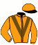 casaque portée par Lemaitre A. jockey du cheval de course AIXELLENCE, information pmu ZETURF