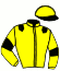 casaque portée par Cinier N. jockey du cheval de course JOE TEJY, information pmu ZETURF casaque portée par Cinier N. jockey du cheval de course JOE TEJY, information pmu ZETURF