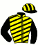 casaque portée par Thonnerieux K. jockey du cheval de course HORIZON DE LARRE, information pmu ZETURF casaque portée par Thonnerieux K. jockey du cheval de course HORIZON DE LARRE, information pmu ZETURF