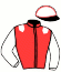 casaque portée par Feron J. Ch. jockey du cheval de course HOLD OF COMTAL, information pmu ZETURF casaque portée par Feron J. Ch. jockey du cheval de course HOLD OF COMTAL, information pmu ZETURF