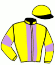 casaque portée par Nicoleau J. jockey du cheval de course IGOR KERGADOR, information pmu ZETURF