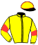 casaque portée par Vogt Mlle S. jockey du cheval de course MORGAN LE FAY (CH), information pmu ZETURF