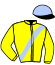 casaque portée par Besnier H. jockey du cheval de course WIESENTAU, information pmu ZETURF