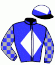 casaque portée par Andrieux T. jockey du cheval de course TONNERRE DE DIEU, information pmu ZETURF