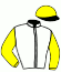casaque portée par Hardouin E. jockey du cheval de course CADORINO DES PLACE, information pmu ZETURF