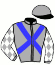 casaque portée par Seidl M. jockey du cheval de course ANTRIM, information pmu ZETURF