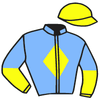 casaque portée par Piechulek R. jockey du cheval de course SA SAL, information pmu ZETURF casaque portée par Piechulek R. jockey du cheval de course SA SAL, information pmu ZETURF