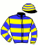 casaque portée par Boisseau L. jockey du cheval de course FEARLESS, information pmu ZETURF casaque portée par Boisseau L. jockey du cheval de course FEARLESS, information pmu ZETURF