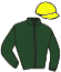 casaque portée par Berge C. jockey du cheval de course LILMISSBIGTALK, information pmu ZETURF