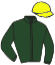 casaque portée par Berge C. jockey du cheval de course LILMISSBIGTALK, information pmu ZETURF casaque portée par Berge C. jockey du cheval de course LILMISSBIGTALK, information pmu ZETURF